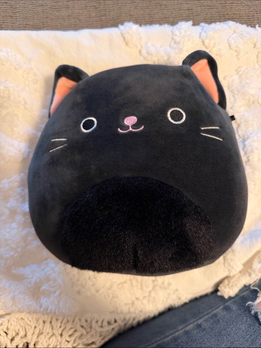 Black Cat Squishmellow